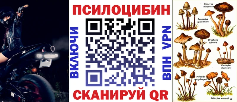 Псилоцибиновые грибы ЛСД  кракен ссылки  Гаврилов Посад 